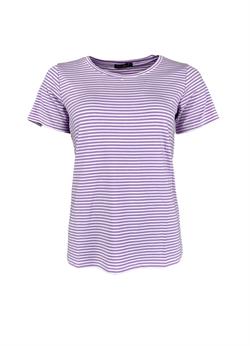 Black Colour T-shirt - Polly Striped T-shirt, Lavender